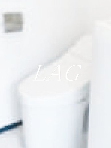 トイレ　トイレです。（同仕様です。）