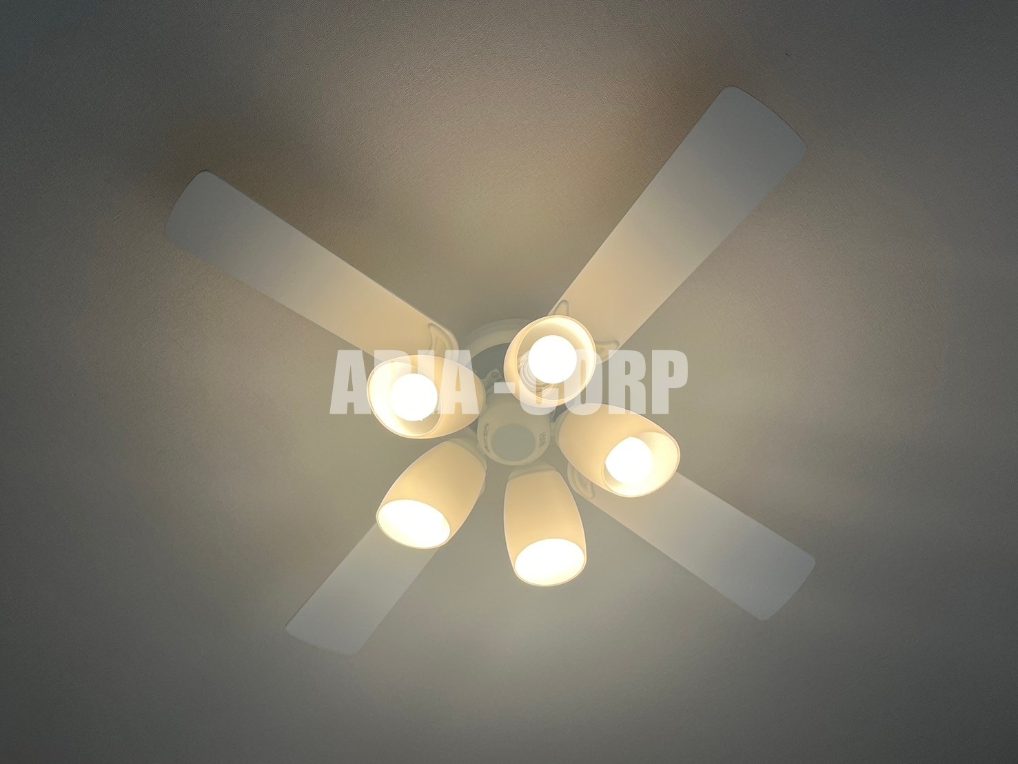 その他　各お部屋にシーリングファン標準装備◎