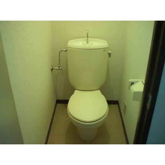 トイレ　トイレも気になるポイント