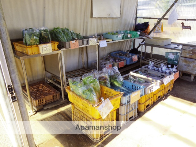 その他　野菜の直売所（その他）まで458m