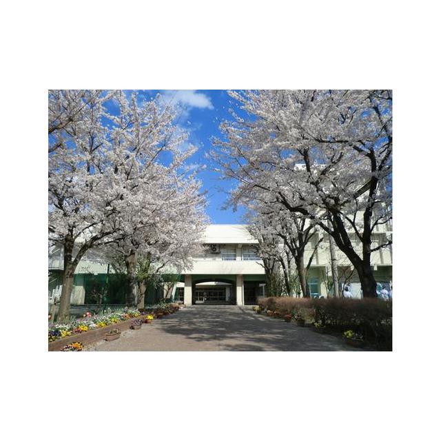 中学校　第五中学校（中学校）まで320m