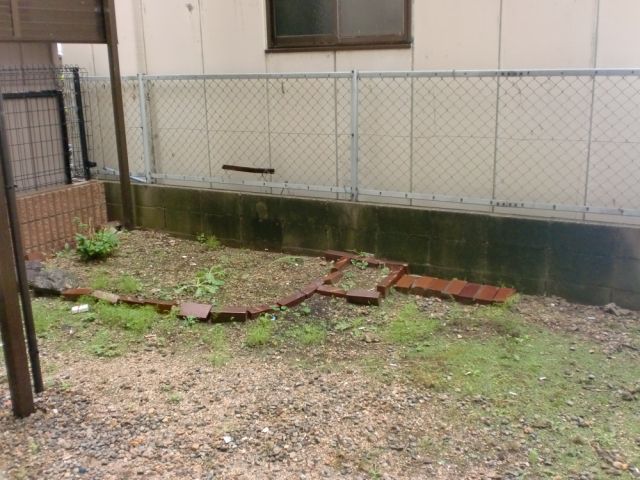 庭　家庭菜園できます。