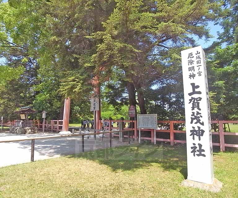 その他　上賀茂神社（その他）まで50m