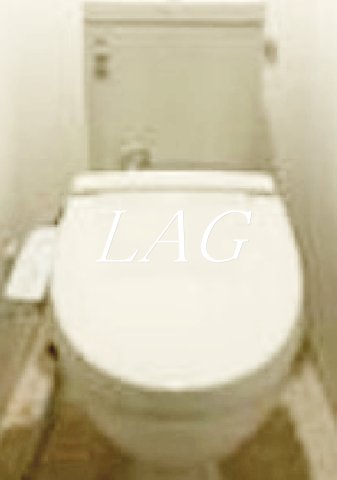 トイレ　トイレです。（同仕様です。）