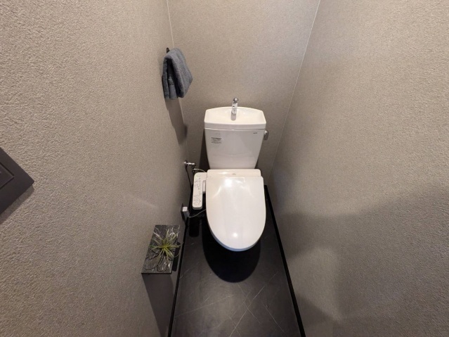 トイレ　※同建物・別号室の写真です