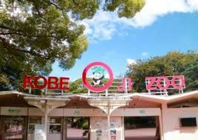 その他　神戸市立王子動物園（その他）まで1325m