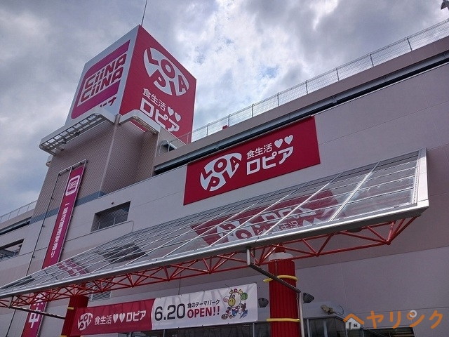 その他　ロピア（その他）まで1300m