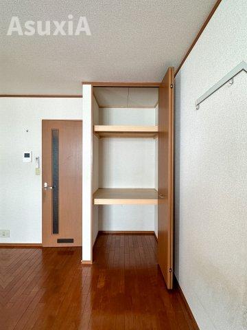 収納　別タイプのお部屋の写真です