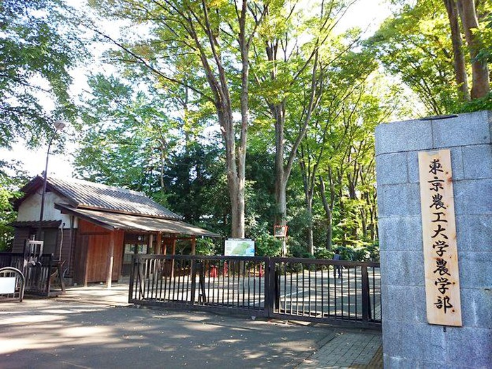 大学・短大　東京農工大学（大学・短大）まで900m