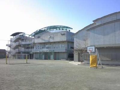 小学校　八幡山小学校（小学校）まで561m