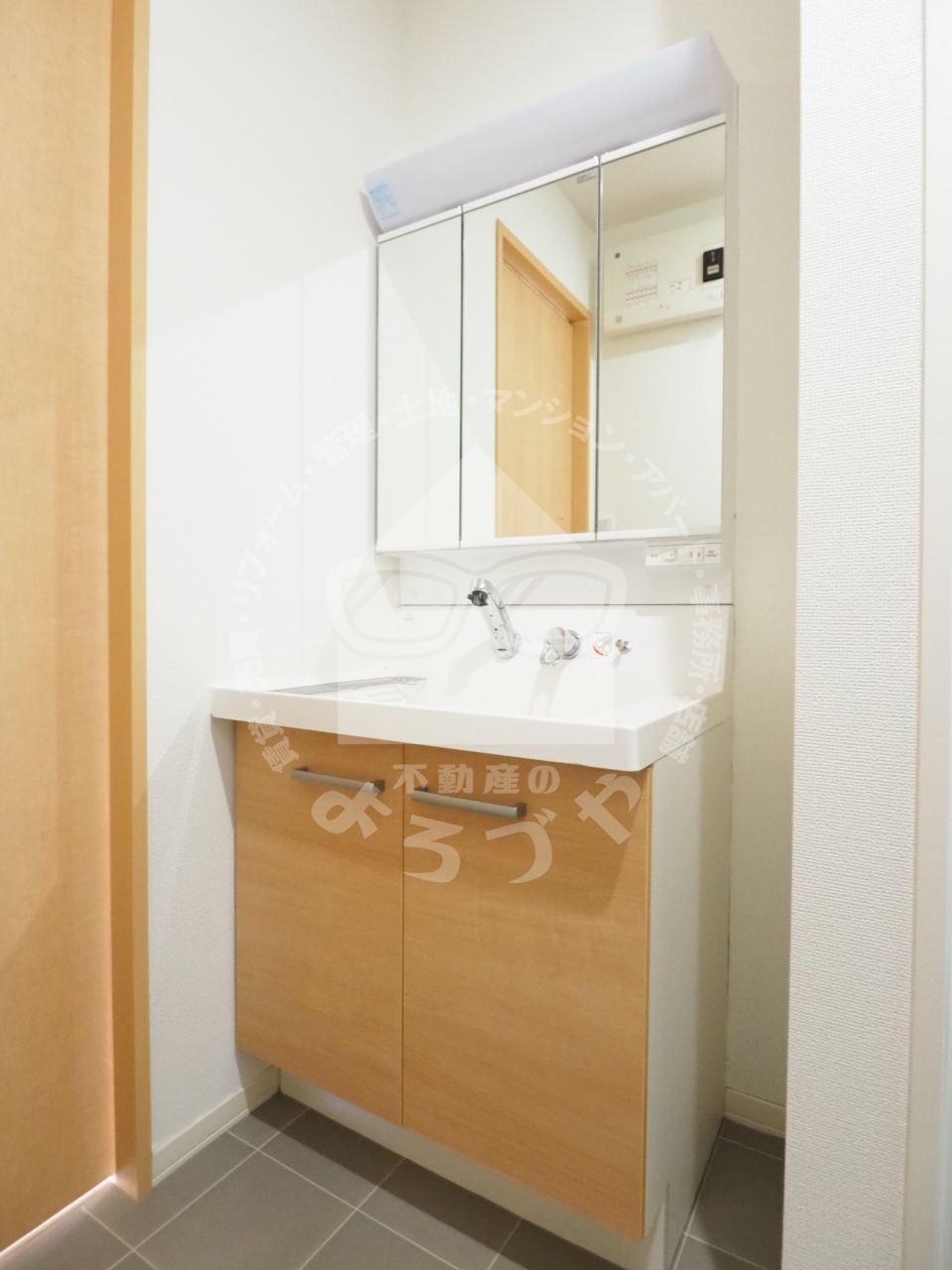 洗面設備　シャワー付きの独立洗面台なのでちょっとした洗い物も便利です