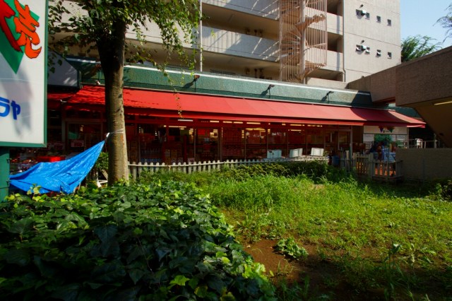 スーパー　ユータカラヤ宮崎台店（スーパー）まで544m