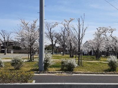 公園　浅平公園（公園）まで300m