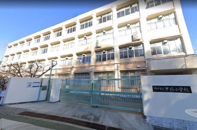 その他　甲緑小学校