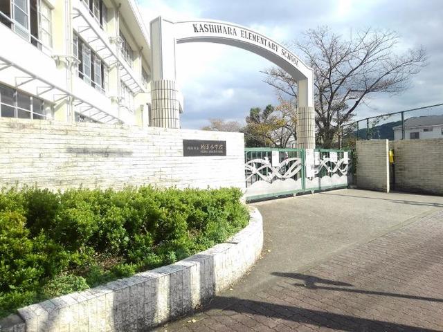 小学校　福岡市立柏原小学校（小学校）まで750m
