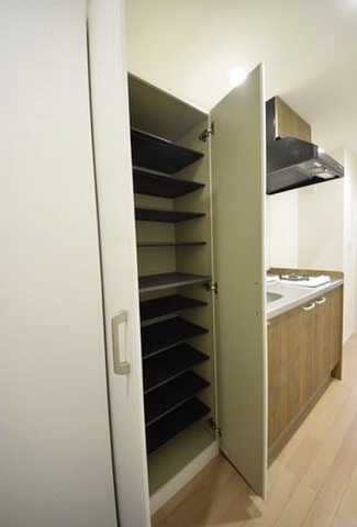 収納　プラチナフォルム東中野