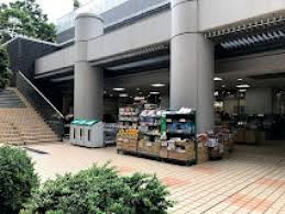 スーパー　スーパー文化堂月島店（スーパー）まで231m
