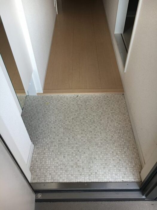 玄関　※同シリーズ参考画像