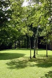 公園　社団法人公園メンテナンス協会（公園）まで390m