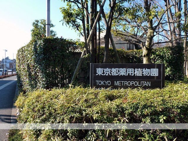 その他　薬用植物園（その他）まで496m