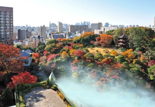 その他　ホテル椿山荘東京（その他）まで464m
