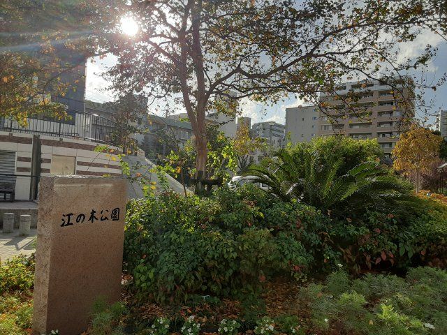 公園　江の木公園（公園）まで604m