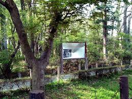 公園　金山森の広場（公園）まで866m