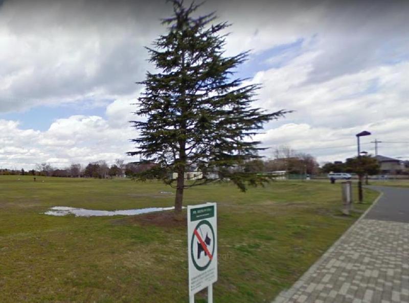 公園　中川公園B地区（公園）まで500m
