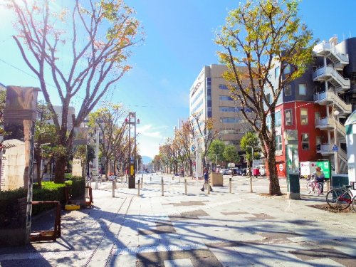 公園　青葉緑地（公園）まで349m
