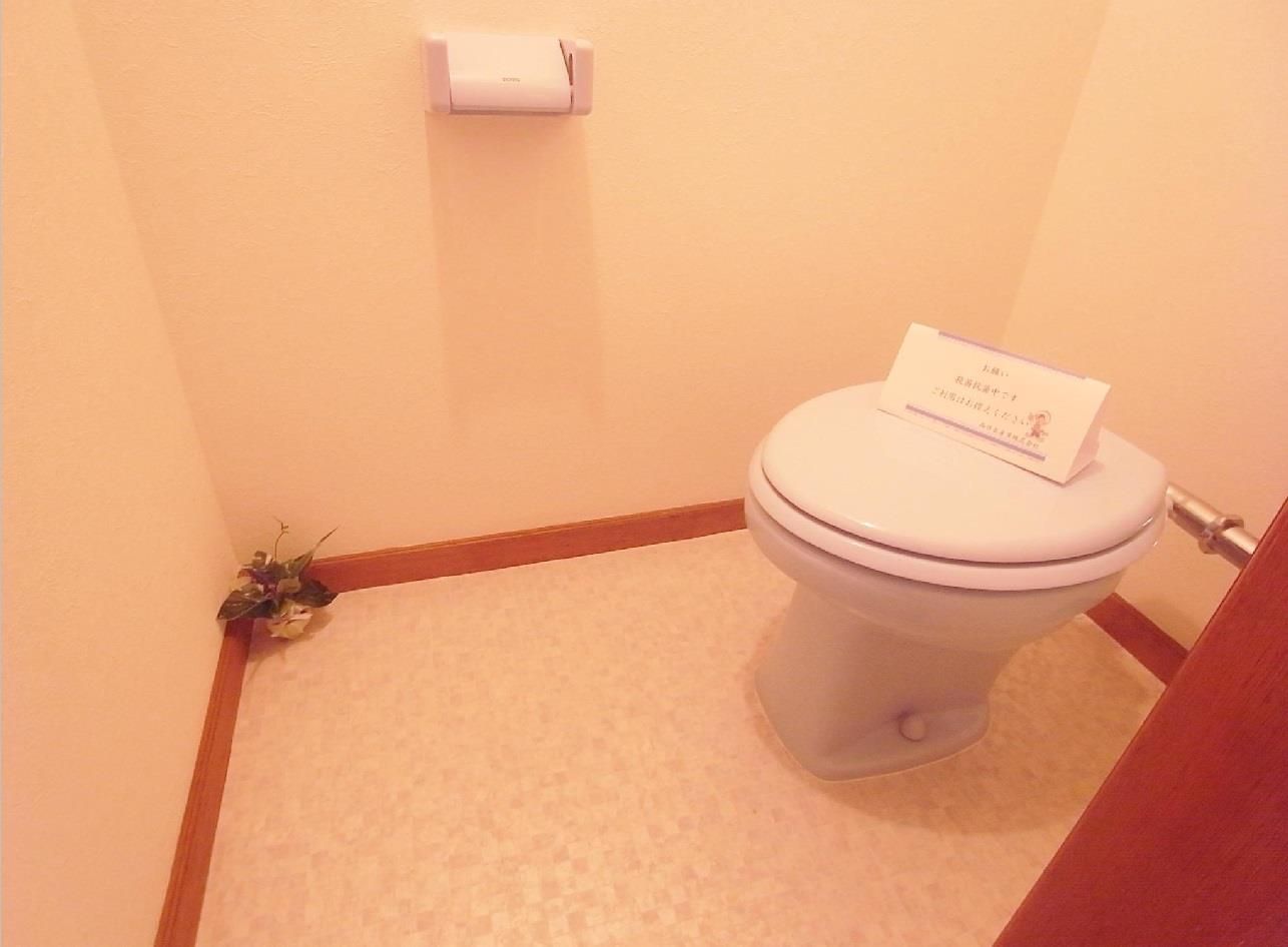 トイレ　落ち着いたトイレです※別号室のお写真になります。