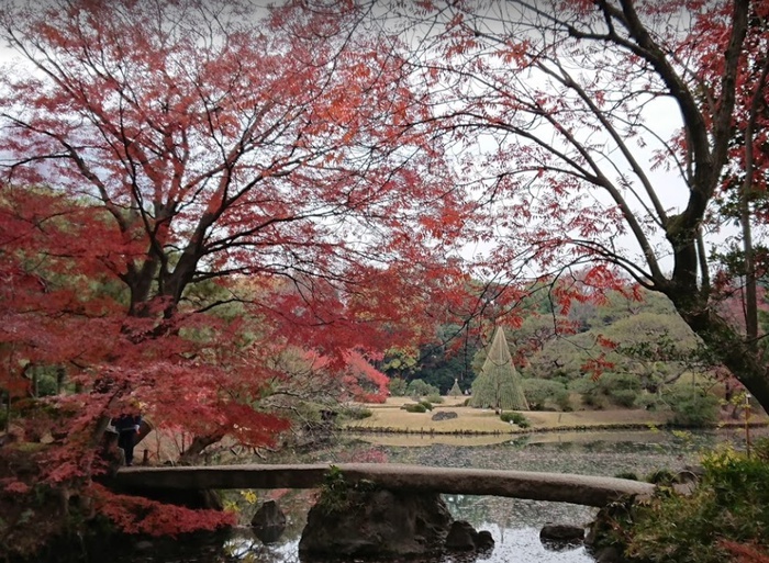 公園　六義園（公園）まで771m