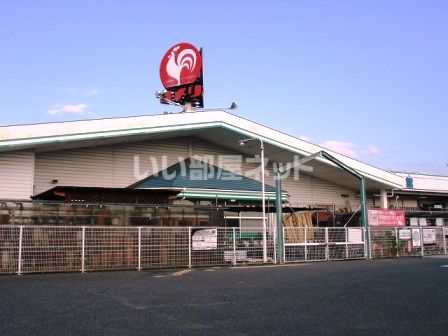 ホームセンター　コメリ ハード&グリーン河内河南店（ホームセンター）まで472m