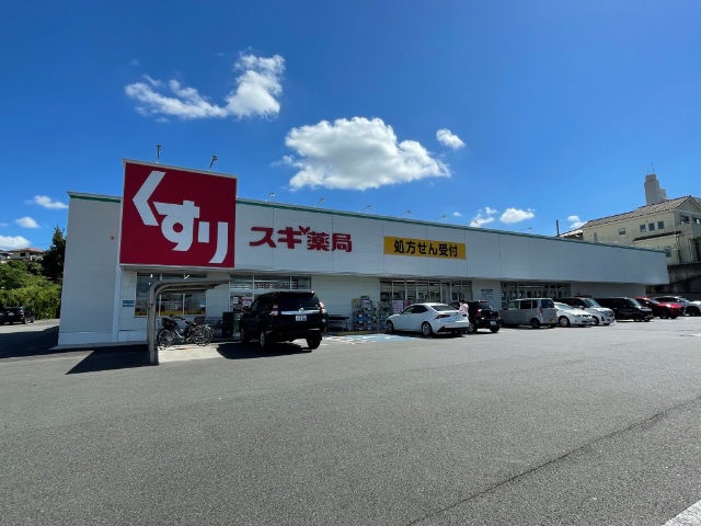 ドラックストア　スギ薬局前後店（ドラッグストア）まで1124m