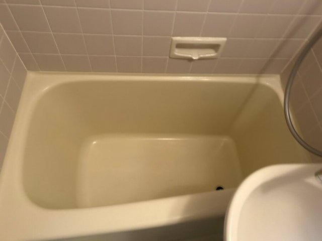 バス・シャワールーム　落ち着いた空間のお風呂です