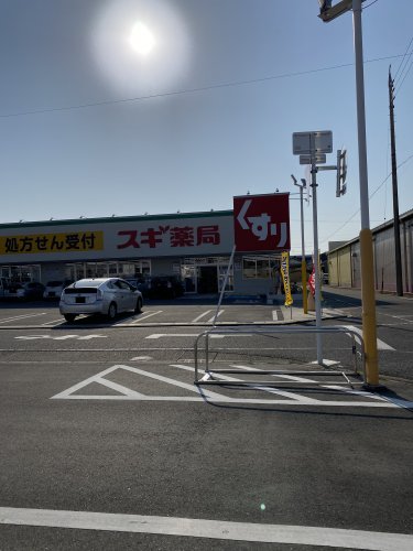ドラックストア　スギ薬局千音寺店（ドラッグストア）まで229m