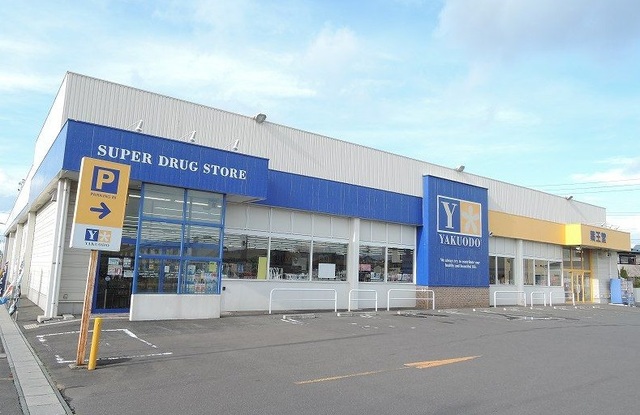 ドラックストア　薬王堂八戸新井田店（ドラッグストア）まで500m