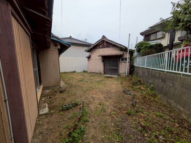 庭