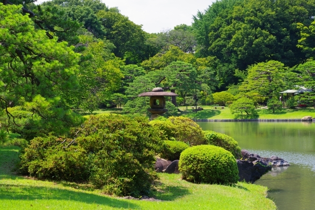 公園　六義園（公園）まで400m