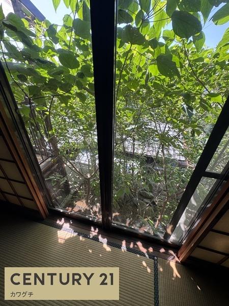 庭