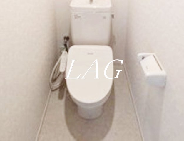 トイレ　トイレです。（同仕様です。）