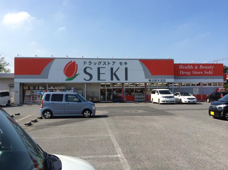ドラックストア　ドラッグストアセキ 春日部大沼店（ドラッグストア）まで848m