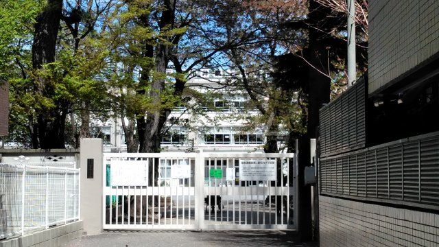 小学校　杉並区立桃井第一小学校（小学校）まで703m