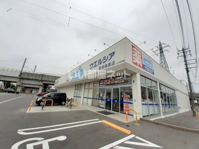 ドラックストア　ウエルシア新潟鳥原店（ドラッグストア）まで2125m