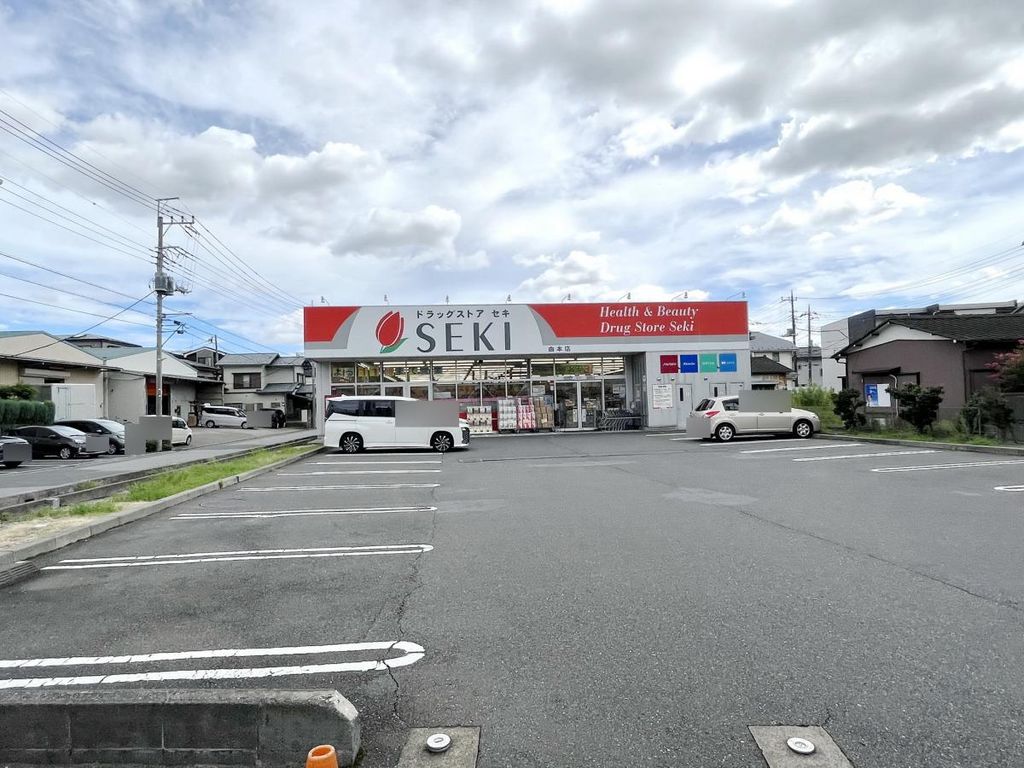 ドラックストア　ドラッグセイムスさいたま曲本店（ドラッグストア）まで810m