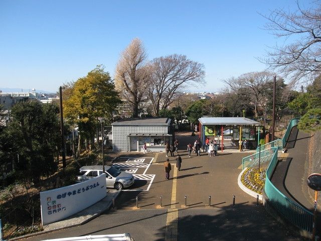 その他　★★野毛山動物園（その他）まで1010m