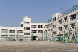 小学校　世田谷区立玉川小学校（小学校）まで906m
