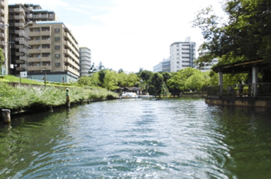 その他　横十間川親水公園（その他）まで216m