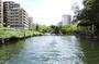 その他　横十間川親水公園（その他）まで216m