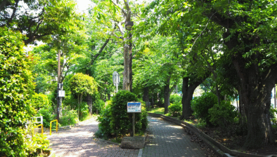 公園　南砂緑道公園（公園）まで494m