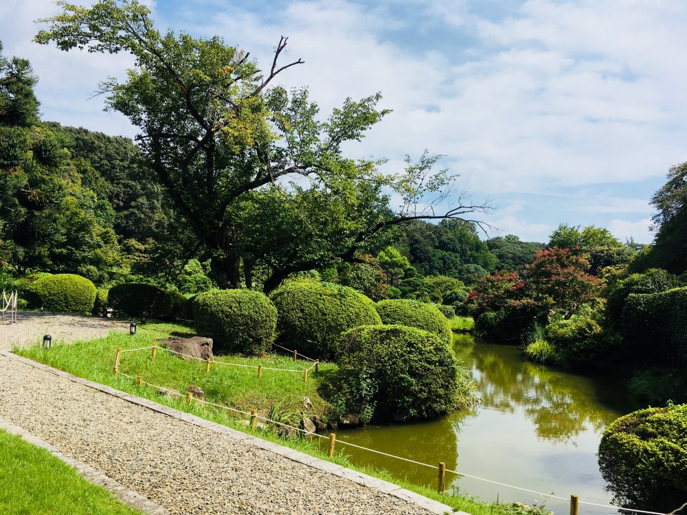 その他　小石川植物園（その他）まで427m